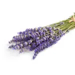 Parfum Ambient 5L Lavanda