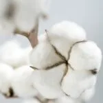 Odorizant Auto 5L Cotton